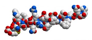 Hormone glucagon 3D molecular structure