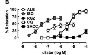 Albuterol (ALB) in comparison with a novel bronchodilator (RGZ) in the relaxation of isolated mouse airway tissue. From: Donovan C, Simoons M, Esposito J, Ni Cheong J, Fitzpatrick M, Bourke JE. Rosiglitazone is a superior bronchodilator compared to chloroquine and beta-adrenoceptor agonists in mouse lung slices. Respiratory research. 2014;15:29, reproduced under the terms of a Creative Commons Attribution 4.0 International License 